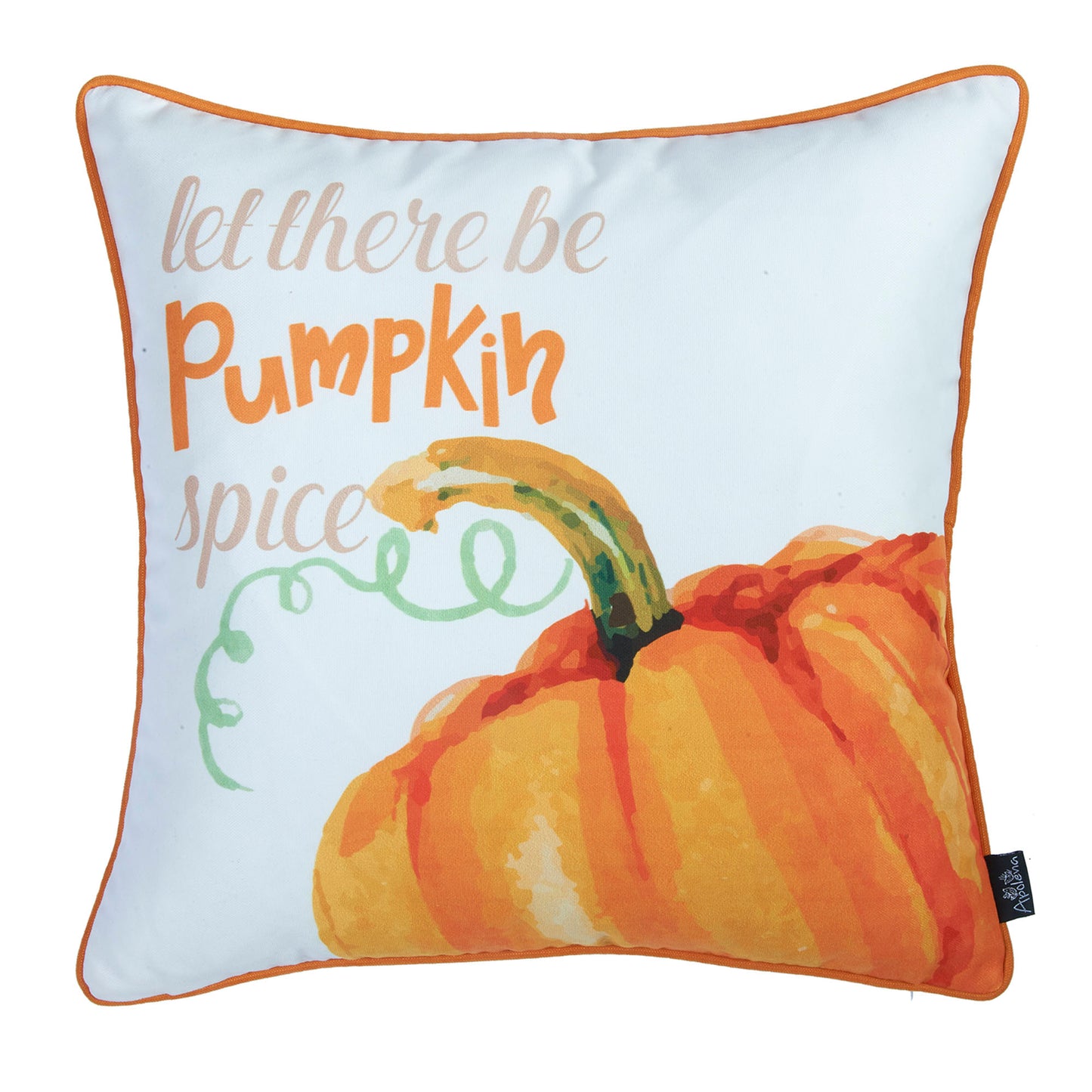 Fall Season Decorative Throw Pillow Set of 2 Pumpkin & Solid Orange 18" x 18" Square for Couch, Bedding